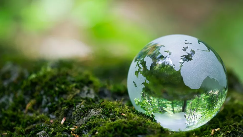 Environnement Canon